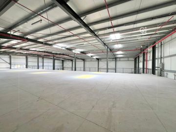 Brand new | 11M clear height | Built mezzanine - Interior view