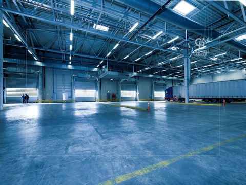 Vacant | Racked | High Ceiling | Loading Bays - Dubai property