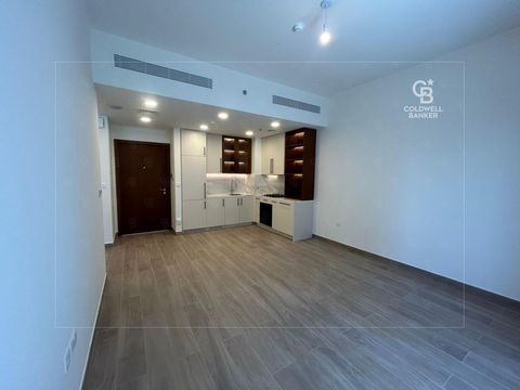 Brand New | kitchen appliances | Spacious Layout - Dubai property