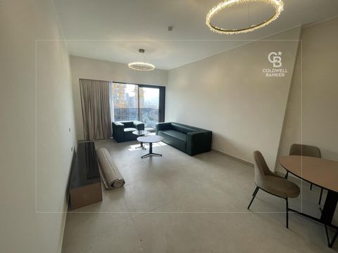 Well Priced | Fully Furnished | Luxurious Finish - Dubai property