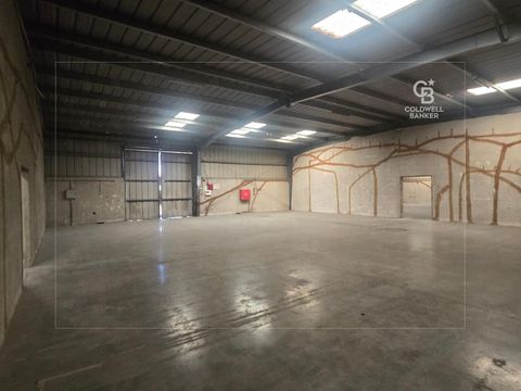 ROAD FACING WAREHOUSE WITH AMPLE PARKING - Dubai property