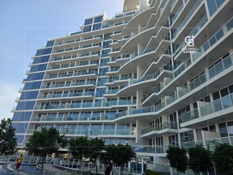 Price Dropped | High Floor | Private Pool - Dubai property