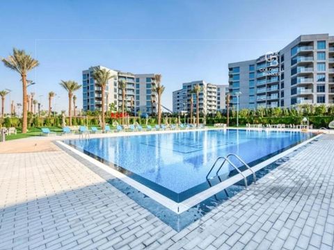 Vacant | Multiple Options | Pool, Gym and Park - Dubai property